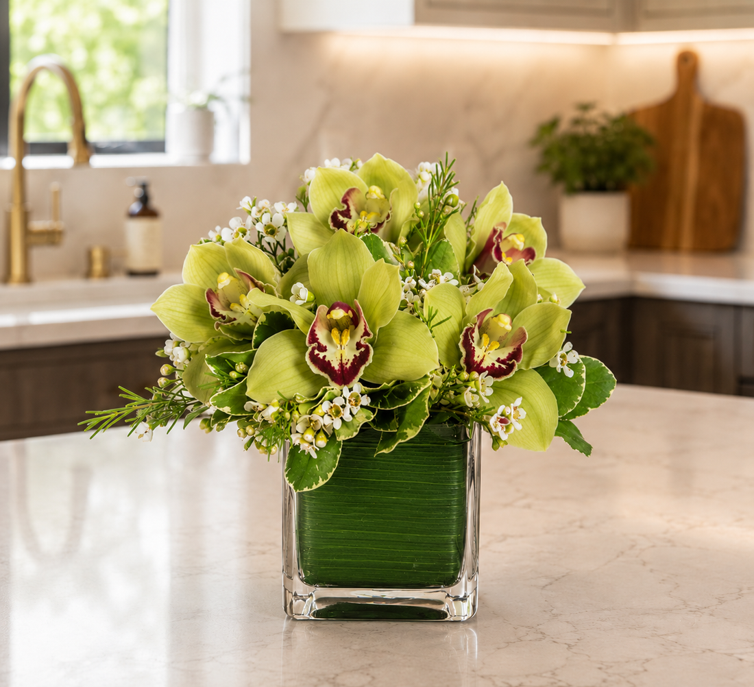 Lovely Orchids