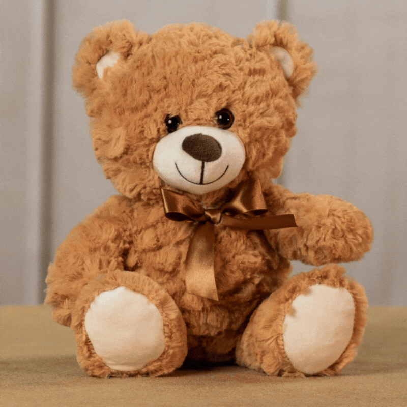 Teddy Bear