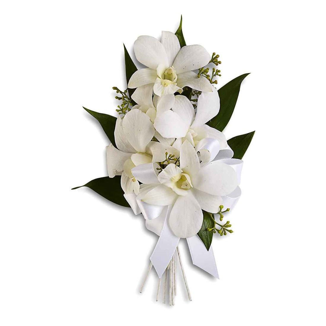 Corsage - Orchids