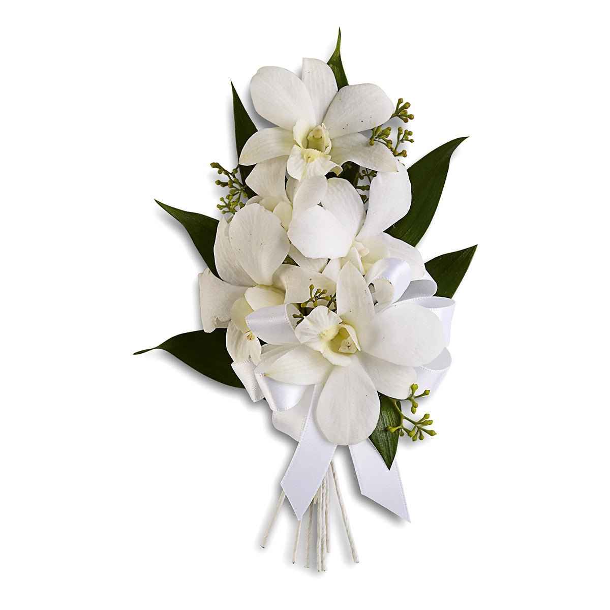 Corsage - Orchids