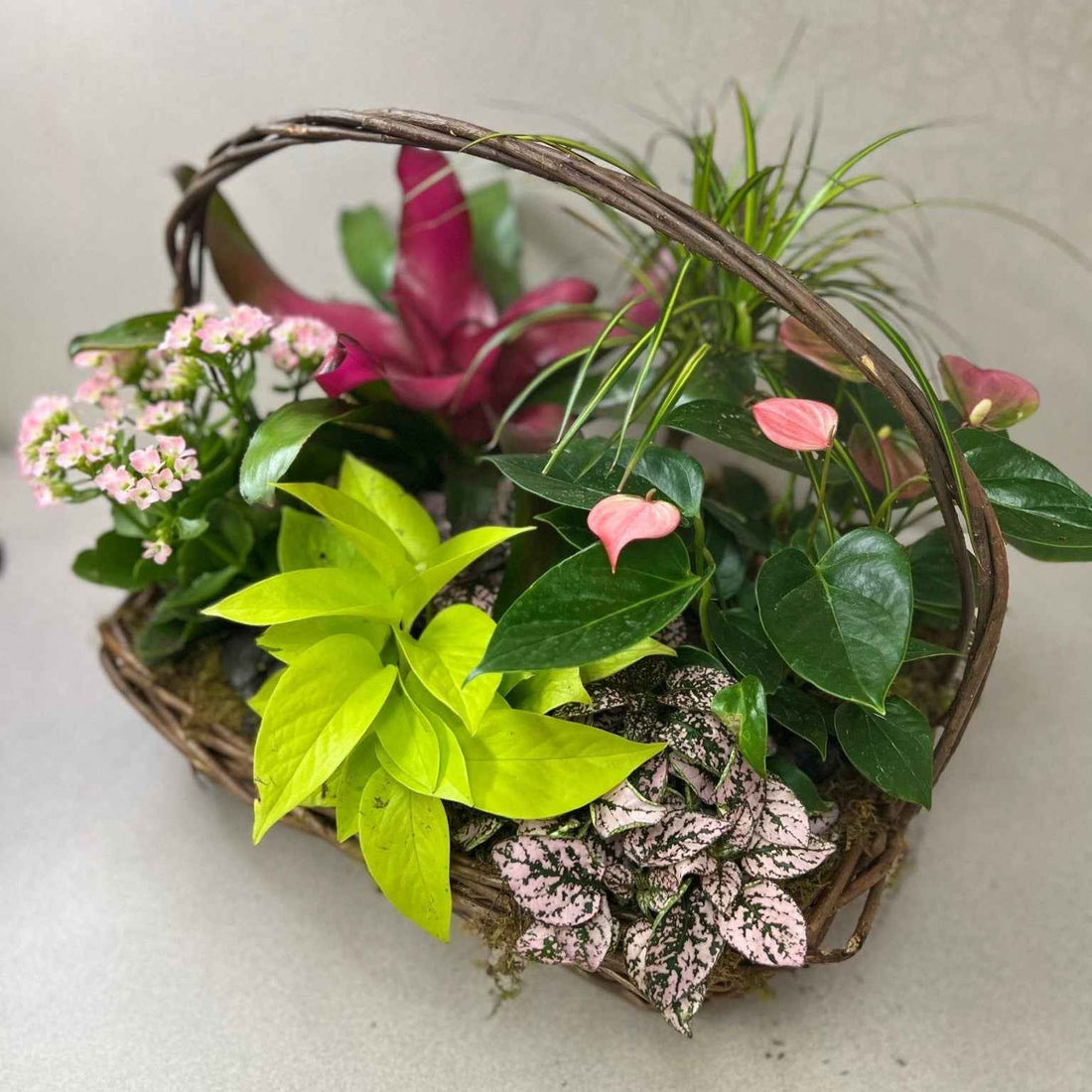 Tropical Planter Basket