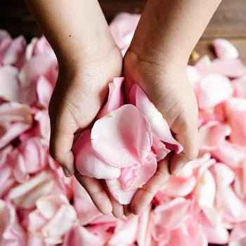 Rose Petals