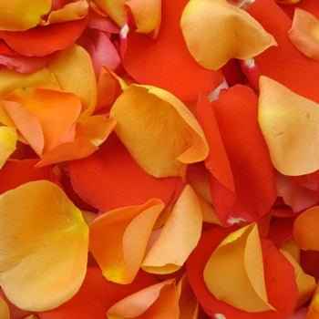 Rose Petals