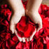 Rose Petals