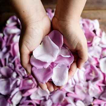 Rose Petals