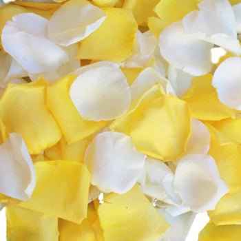 Rose Petals