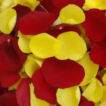 Rose Petals