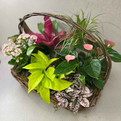 Tropical Planter Basket