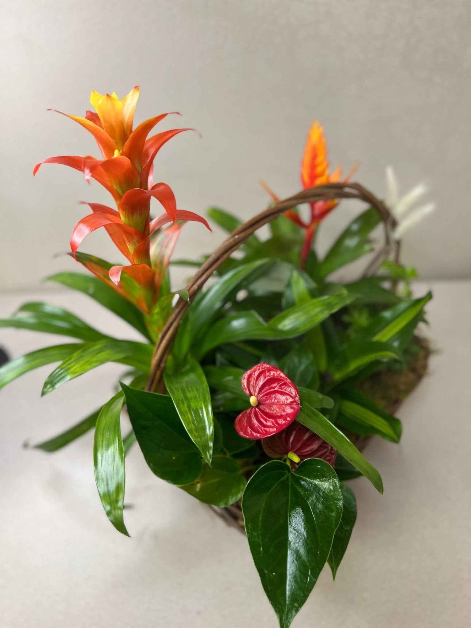 Tropical Planter Basket