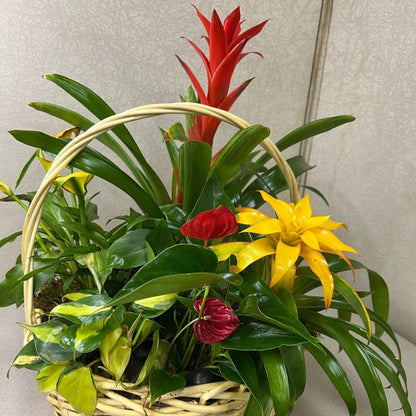 Tropical Planter Basket